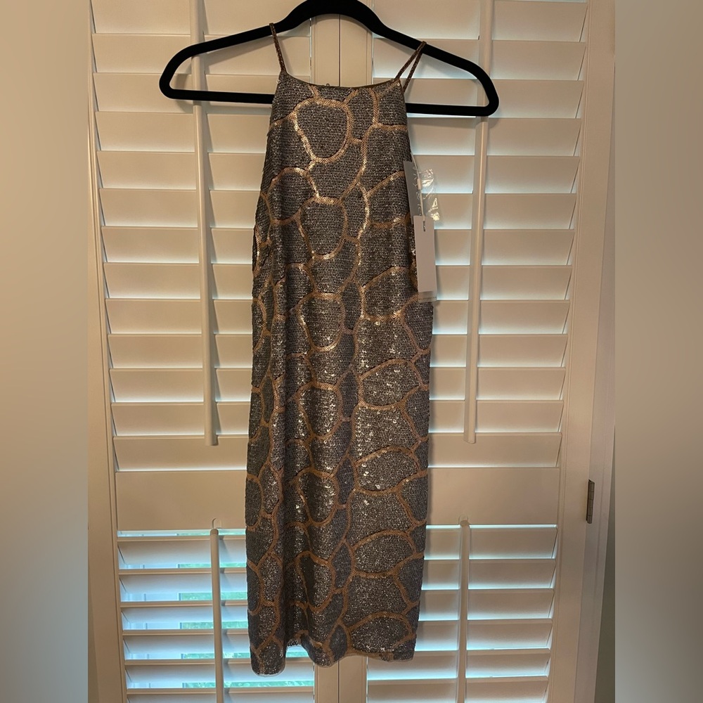 Endless Rose sequin dress